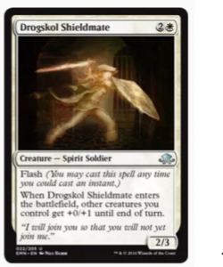 Drogskol Shieldmate